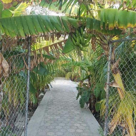 Auberge Pont-Gaudin Gonaives Exteriör bild