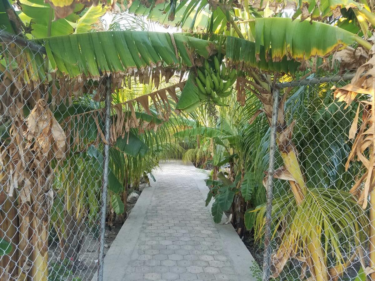 Auberge Pont-Gaudin Gonaives Exteriör bild